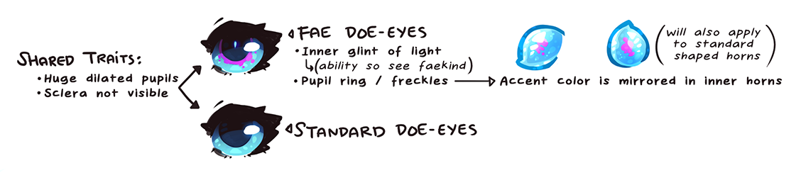 Doe Eyes Notes