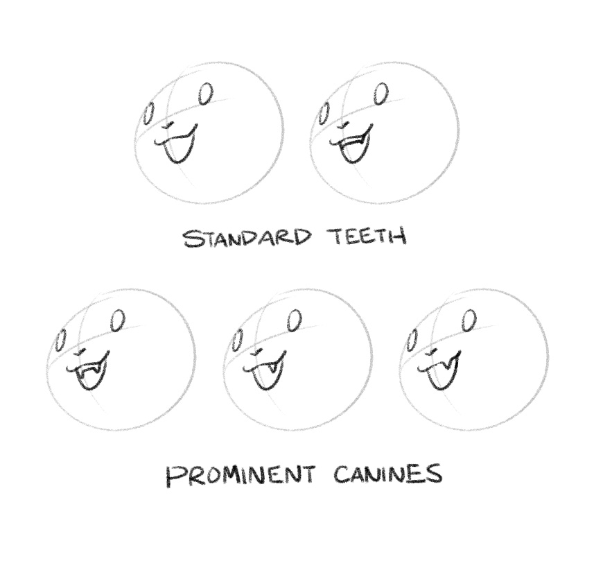 Prominent Canines Notes